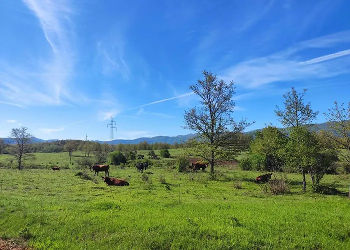 Velebit Lodge