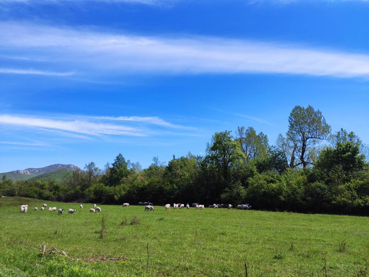 Velebit Holiday home *