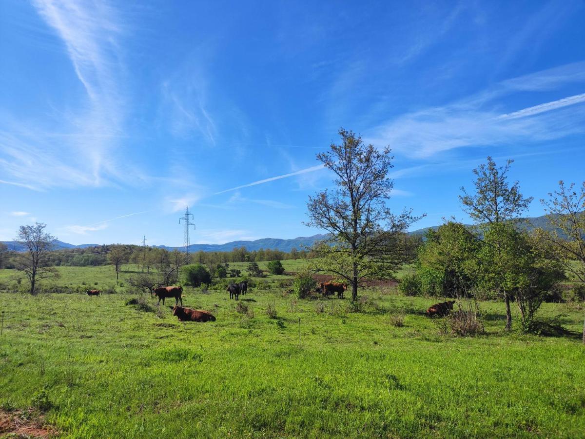 Holiday home Velebit Lovinac (Lika-Senj)