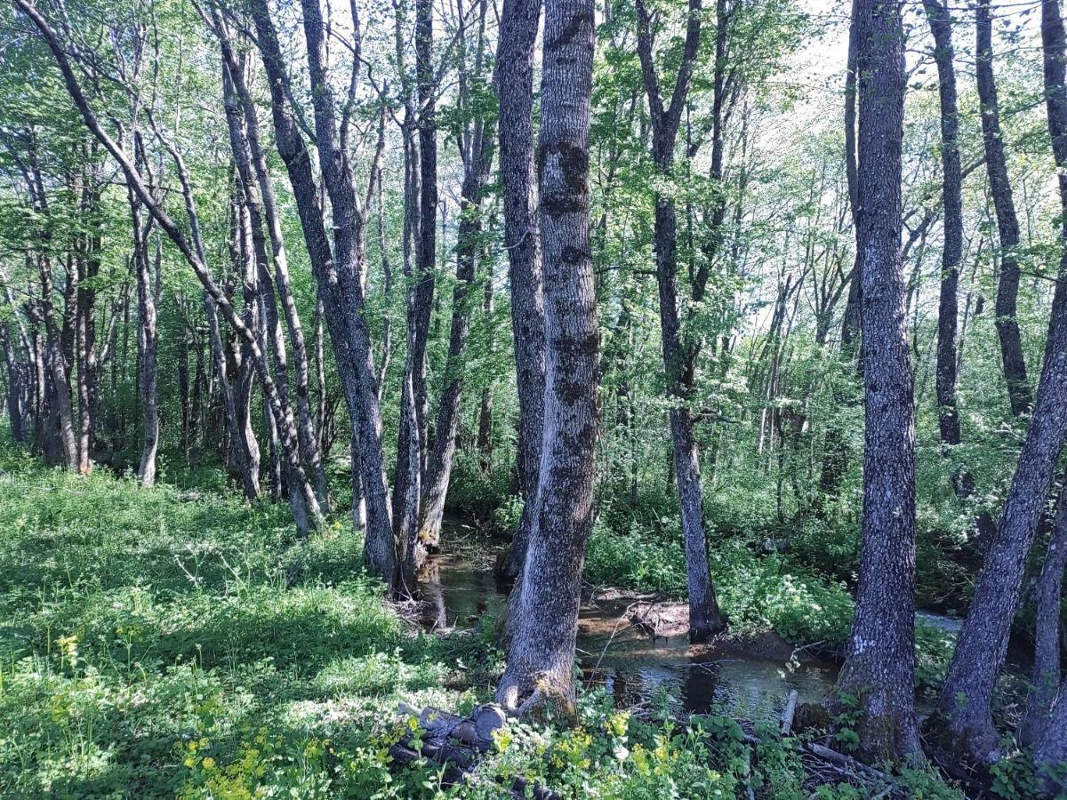 Velebit